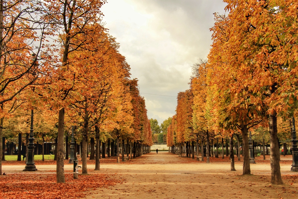 An Autumn must in Paris: Walks in the Luxembourg and Tuileries Gardens – Roisin Grace1200 x 800